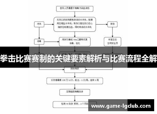 拳击比赛赛制的关键要素解析与比赛流程全解